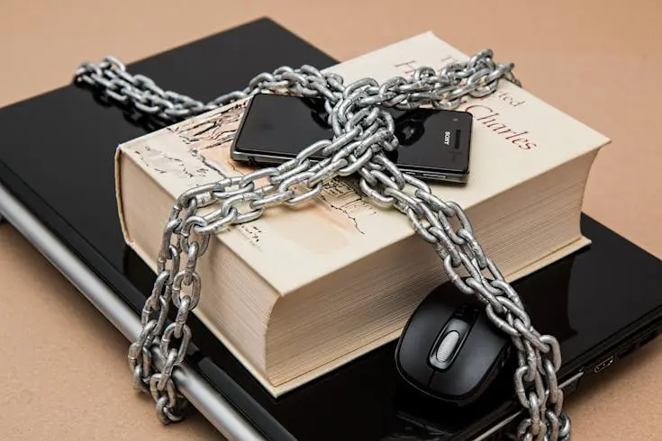 How to Register Copyright in Indonesia (pexels.com)