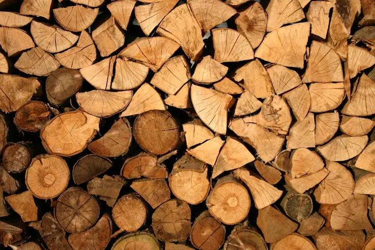 Indonesia’s Forestry Industry: A Complete Guide for Foreign Investors
