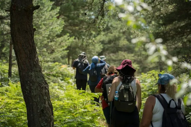 Eco-Tourism Investment in Indonesia: Choosing a Viable Model