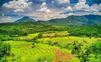 How to Get Tourist Visa for Indonesia?