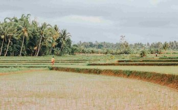 extend visa on arrival indonesia