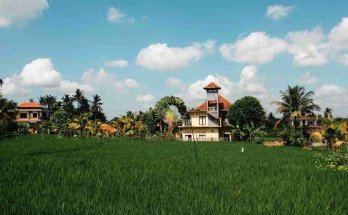 What to do in Bali (source:pexels)