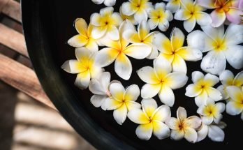 When is the Best Time to Go to Bali