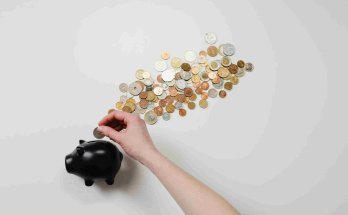 spouse visa financial requirements