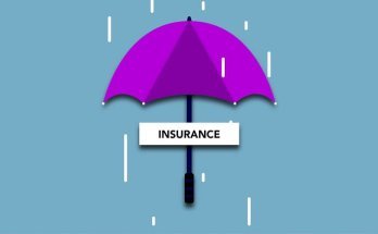 How to Start an Insurance Company (source:pexels)