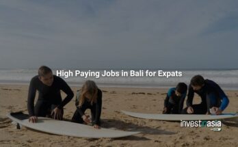 High Paying Job Opportunities in Bali for Expats