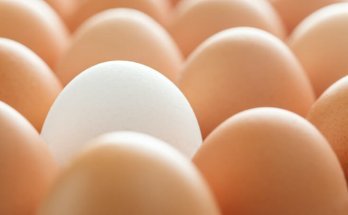 how to write a unique selling proposition (source:pexels)