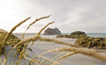 How to Travel to Indonesia from New Zealand (source:pexels)