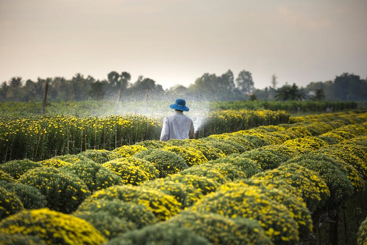 Indonesia Agriculture Industry