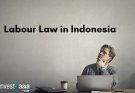 Indonesia Labour Law & Employment Regulations