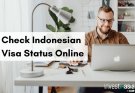 How to Check Indonesian Visa Status Online