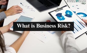 What is Business Risk