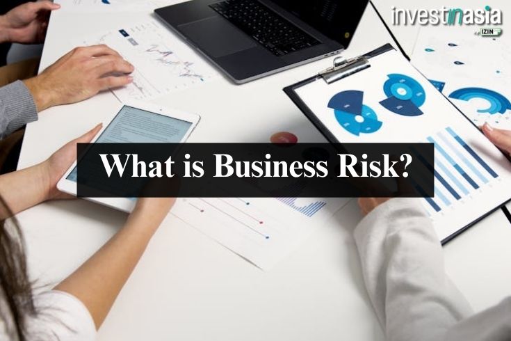 What is Business Risk