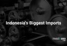 Indonesia's Biggest Imports