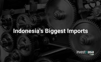 Indonesia's Biggest Imports