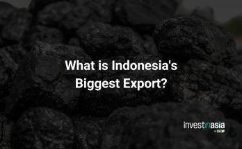 What is Indonesia's biggest export?