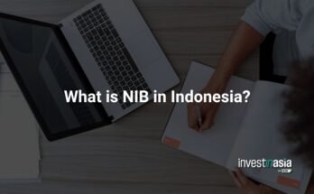 What is NIB in Indonesia?