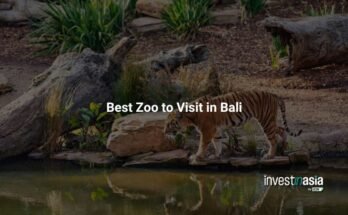 Best zoo to visit in Bali