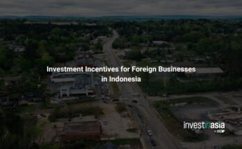Indonesia Investment Incentives