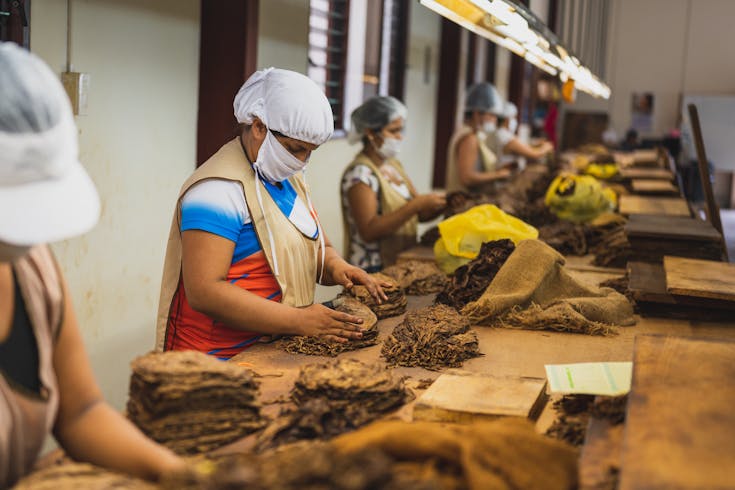 Tobacco industry in Indonesia