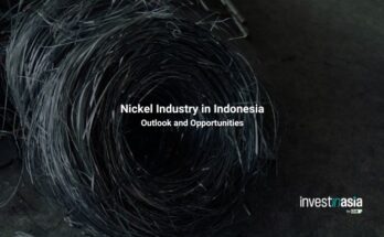 Nickel Industry in Indonesia