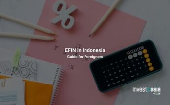 EFIN in Indonesia: Guide for foreigners