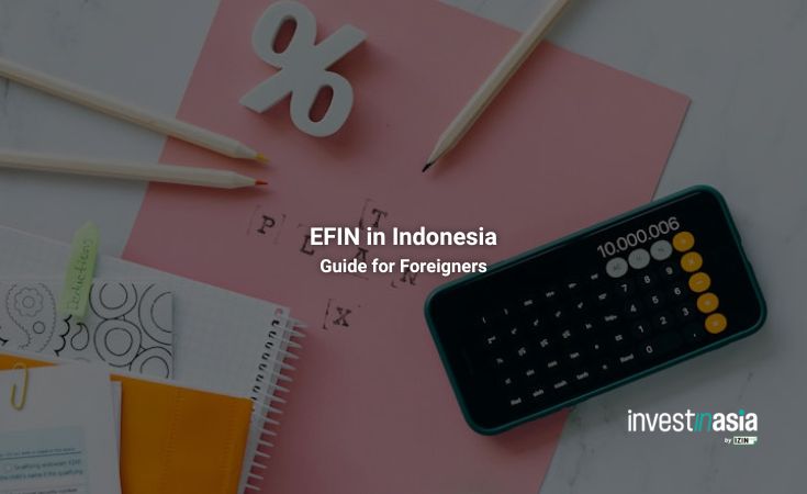 EFIN in Indonesia: Guide for foreigners