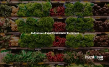 Indonesia’s Export Investment Incentives