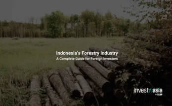 Indonesia’s Forestry Industry: A Complete Guide for Foreign Investors