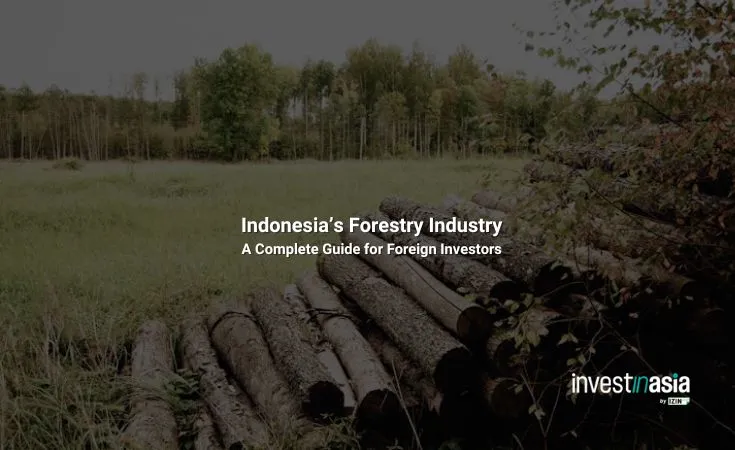 Indonesia’s Forestry Industry: A Complete Guide for Foreign Investors