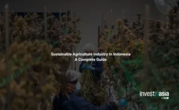 Complete Guide to the Sustainable Agriculture Industry in Indonesia