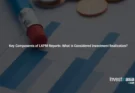 Key Components of LKPM Reports: What is Considered Investment Realization?