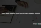 How to Legally Repatriate Profits from a PT PMA Company in Indonesia