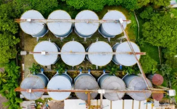 Bioenergy Investment in Indonesia: Opportunities for Foreign Investors in 2026