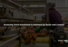 Assessing Dutch Investment in Indonesia by Sector and Location