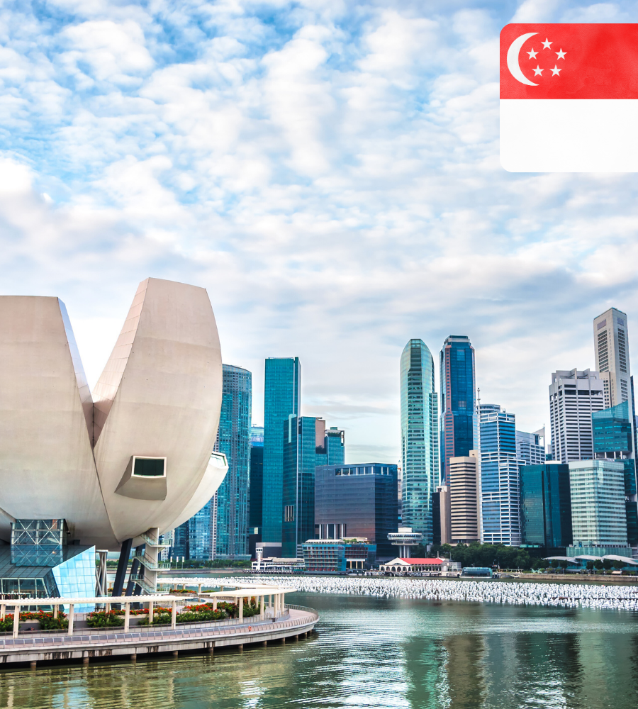 Singapore Company Registration